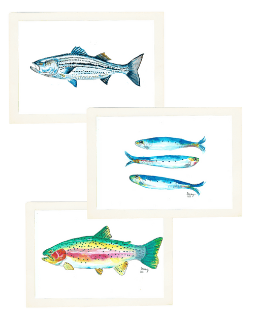 Fish Tale Trio | Rainbow Trout, Striped Bass & Sardine Standard Print Set - shelby nicole