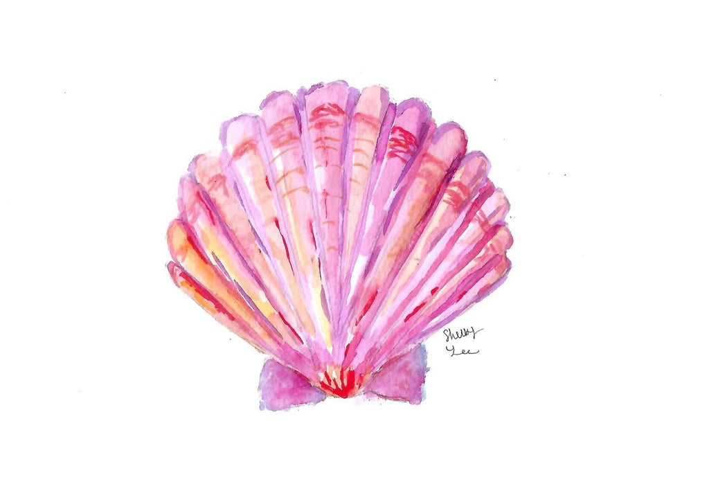 Pink Scallop Seashell Watercolor Print | Coastal Wall Art - shelby nicole