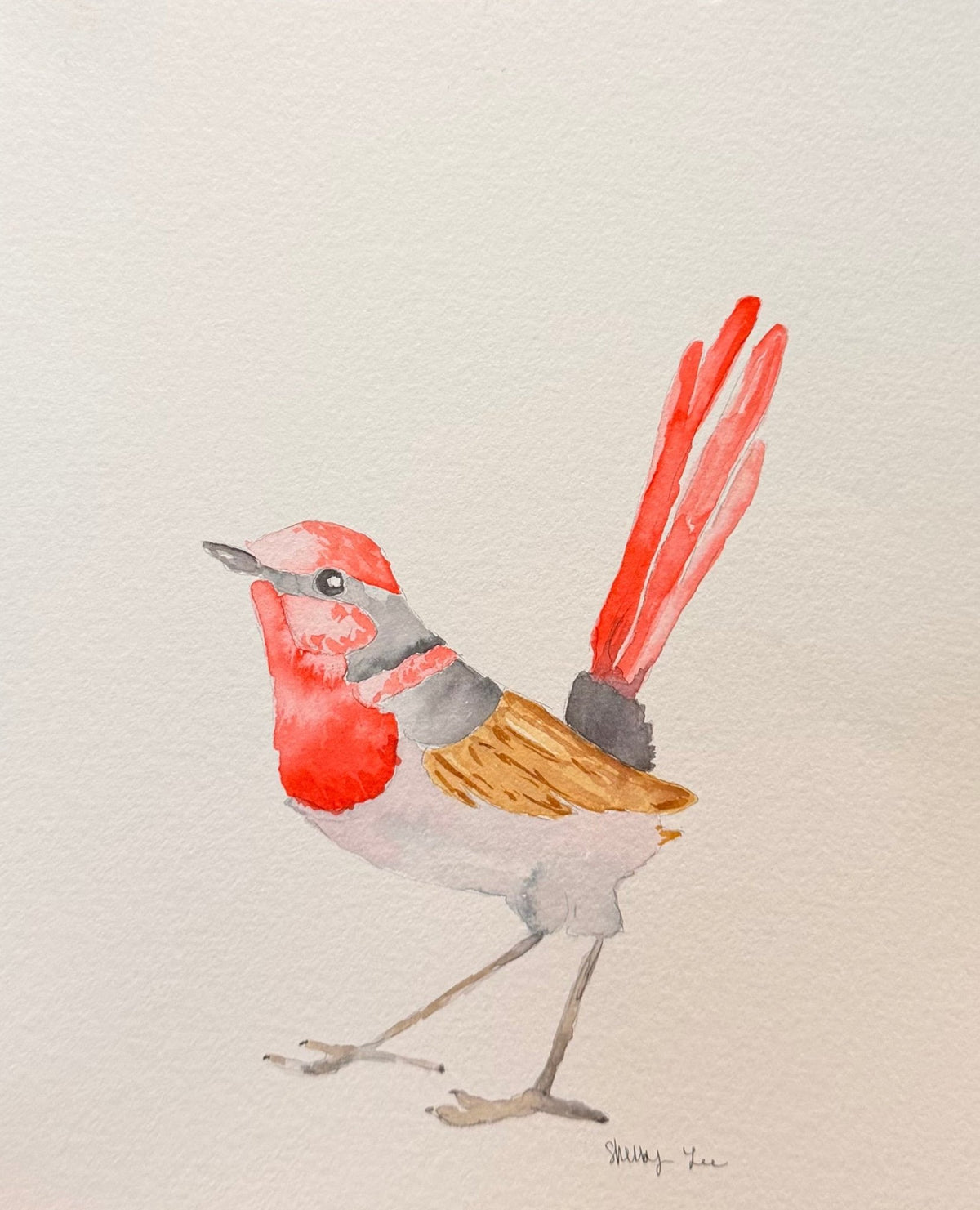 Red Bird Watercolor - Original + Prints - shelby nicole