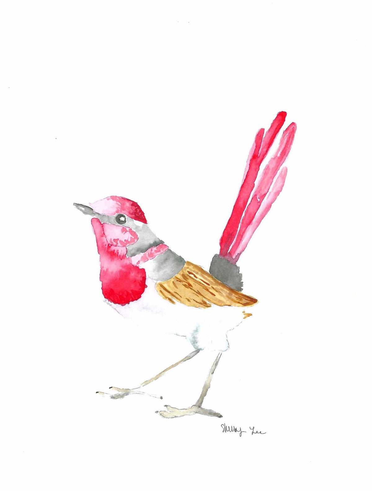 Red Bird Watercolor - Original + Prints - shelby nicole