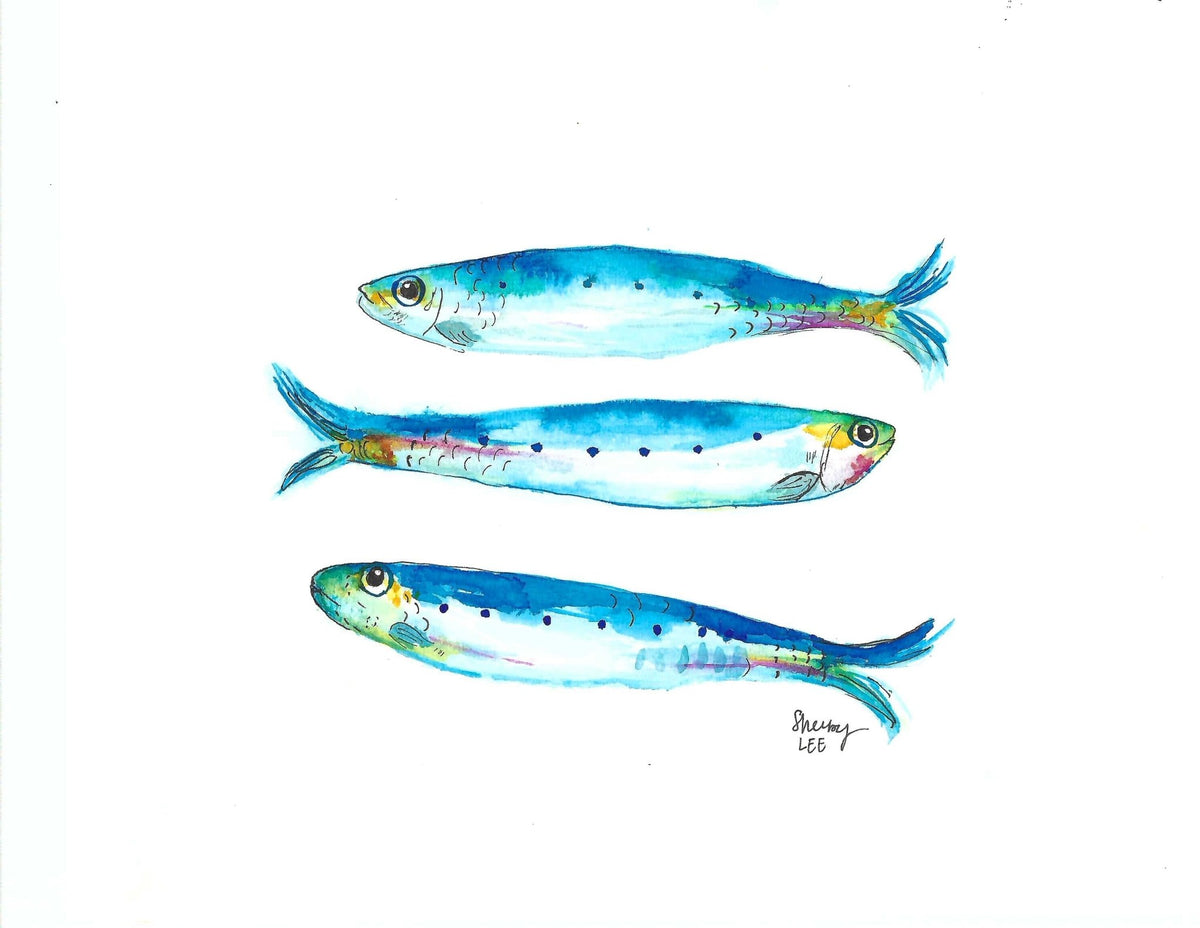 Sardine Trio Watercolor Painting — Fish Wall Art - shelby nicole